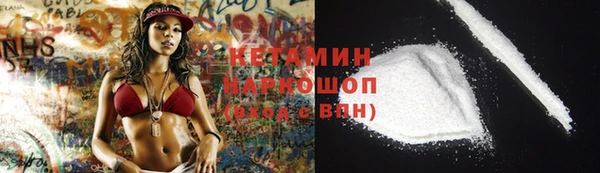 дживик Инта