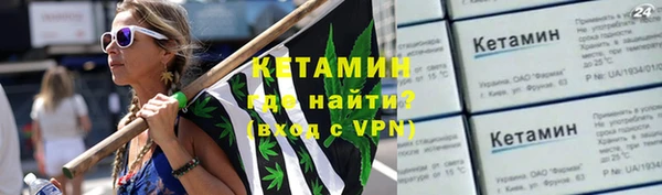 дживик Инта