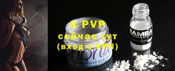 дживик Инта