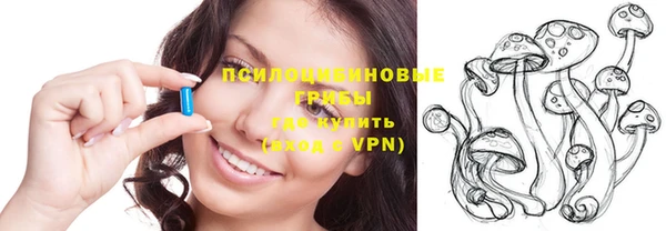 дживик Инта