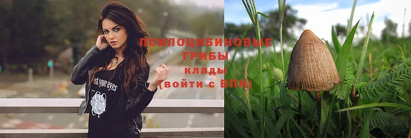 дживик Инта