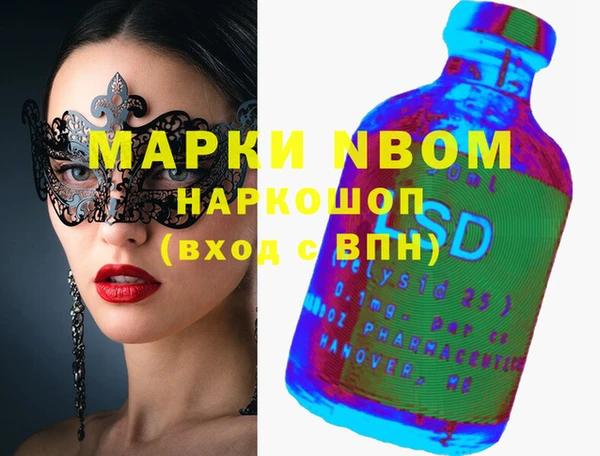 дживик Инта