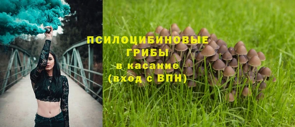 Альфа ПВП Иннополис