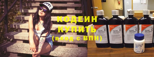 дживик Инта