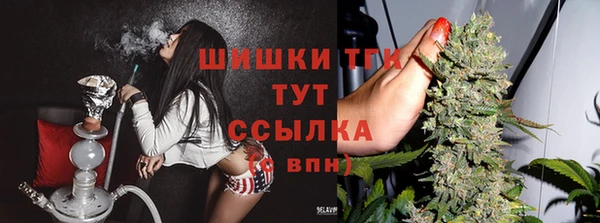 дживик Инта
