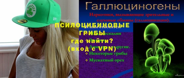 дживик Инта