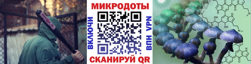 Купить закладки  Юрюзань  Псилоцибиновые грибы Psilocybine cubensis 